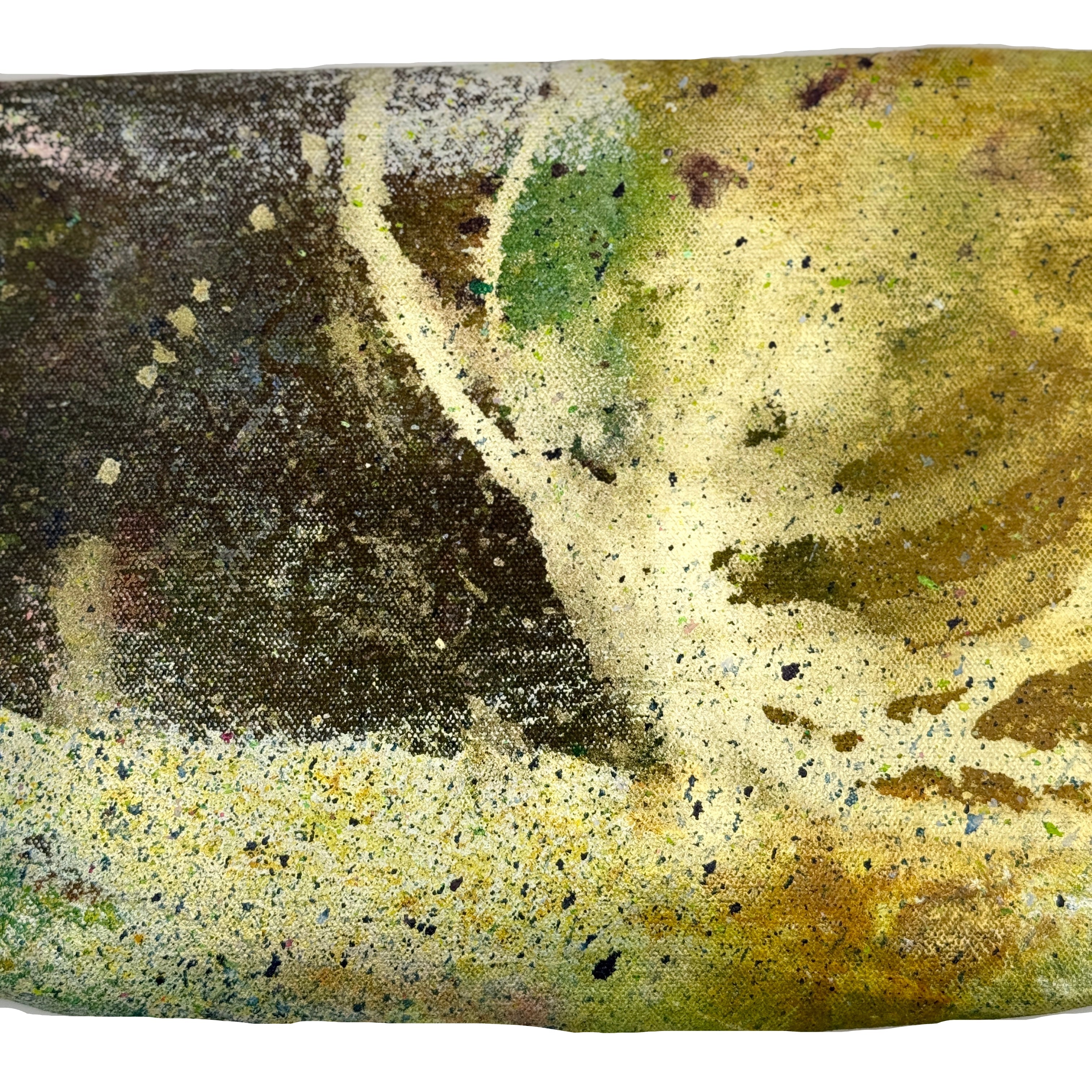 Kelly Campbell x Sara Carter 8/40