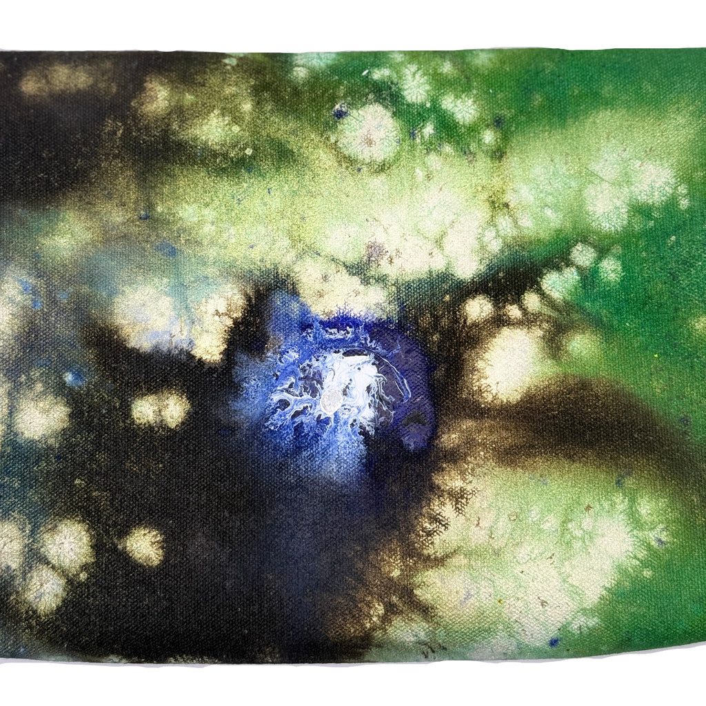 Kelly Campbell x Sara Carter 6/40