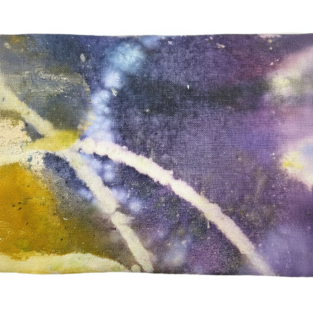 Kelly Campbell x Sara Carter 2/40