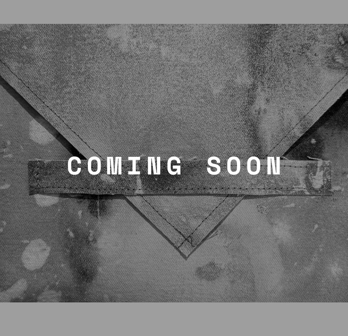 Kelly Campbell x Sara Carter 33/40, coming soon