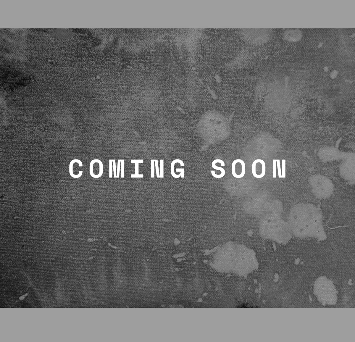 Kelly Campbell x Sara Carter 33/40, coming soon