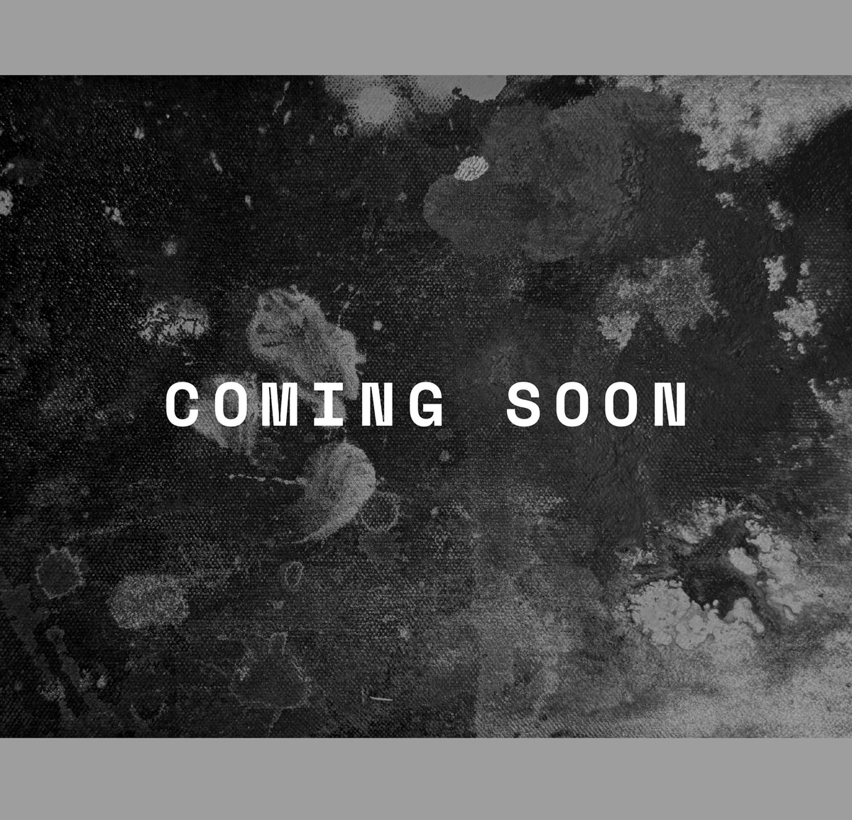 Kelly Campbell x Sara Carter 38/40, coming soon
